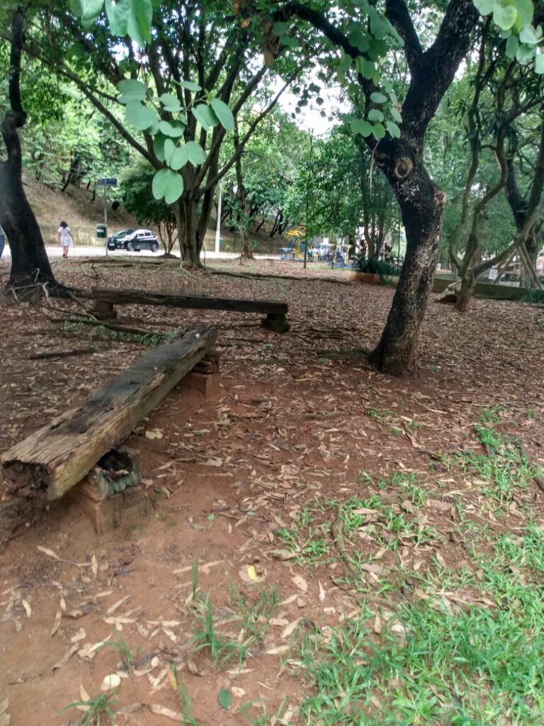 Banco de madeira rústico e desgastado em parque arborizado, com chão de terra batida e folhas secas, ao lado de árvores e área de lazer ao fund
